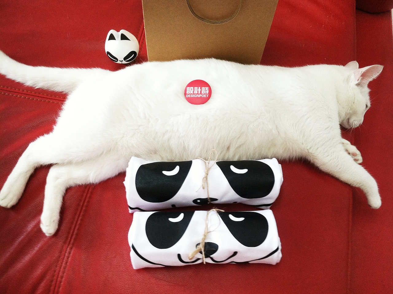 如此懂事的猫不得不爱!