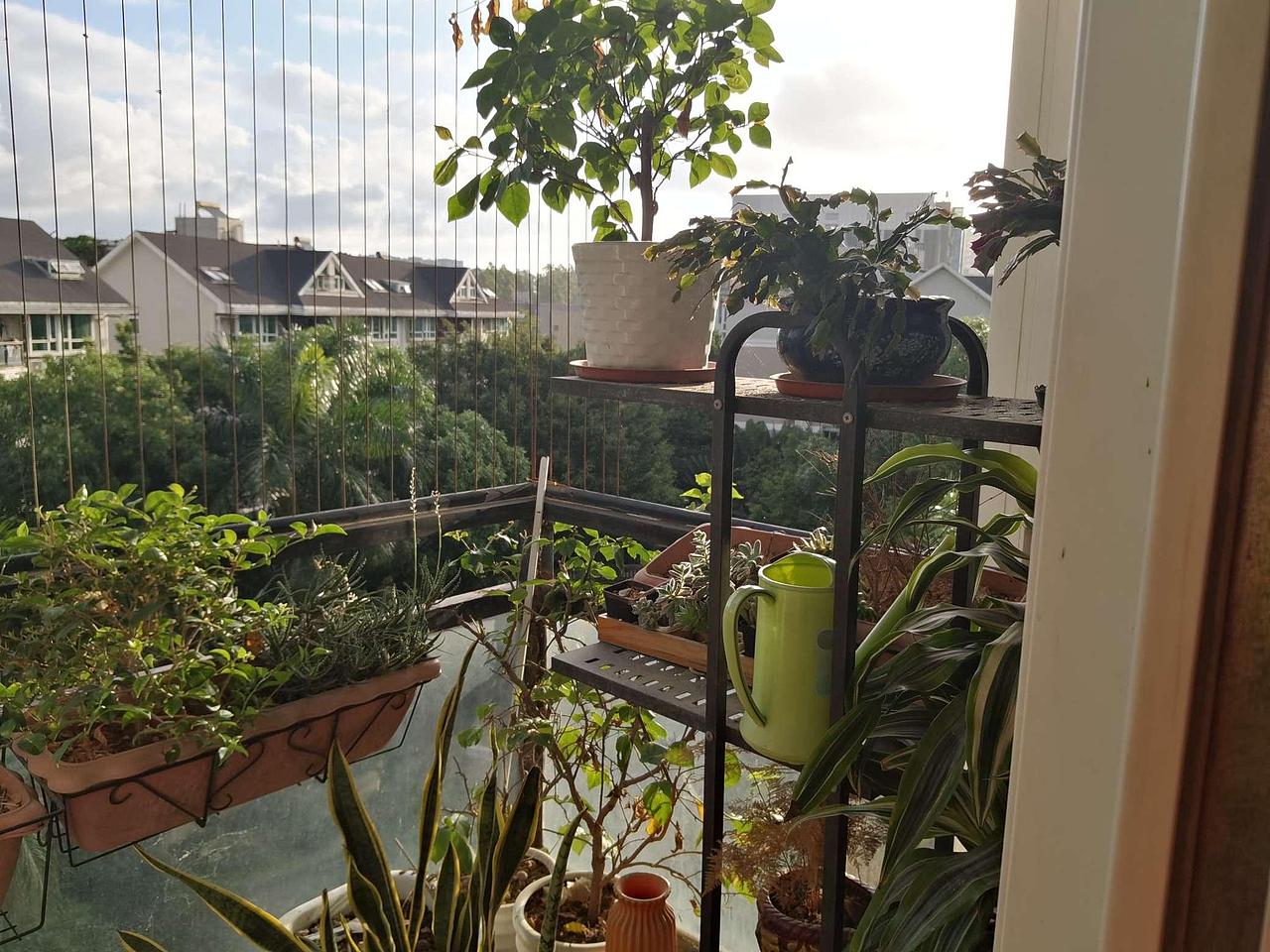 清晨的第一缕阳光