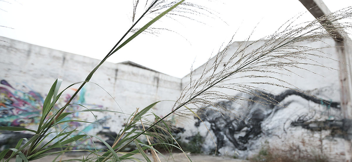 STREET ART IN FOSHAN（图ZMjQ5NTc0NTI=） - 绘画 - 站酷设计师画图男原创素材 - 站酷ZCOOL