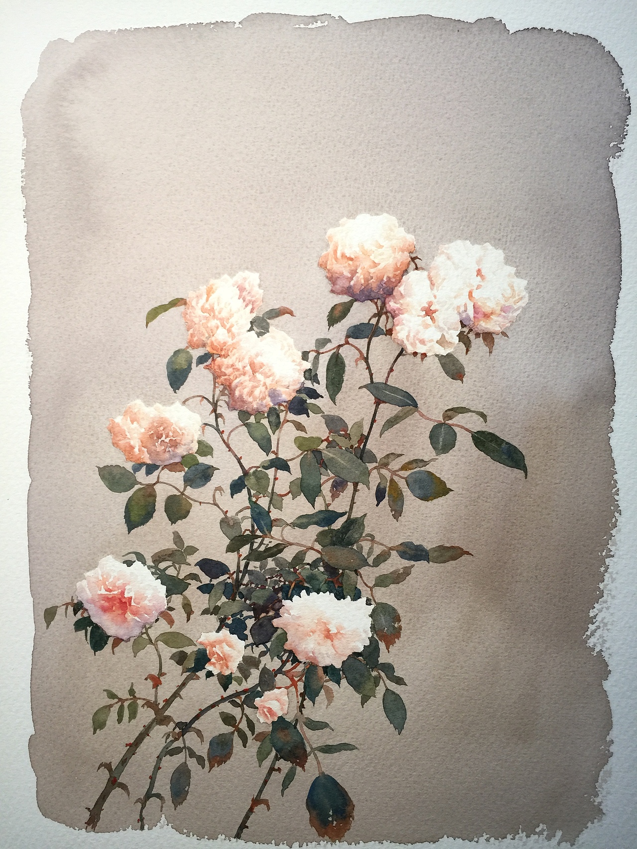 花花世界（水彩玫瑰花）（图ZOTI4NDM3MDg=） - 绘画 - 站酷设计师黄有维水彩原创素材 - 站酷ZCOOL