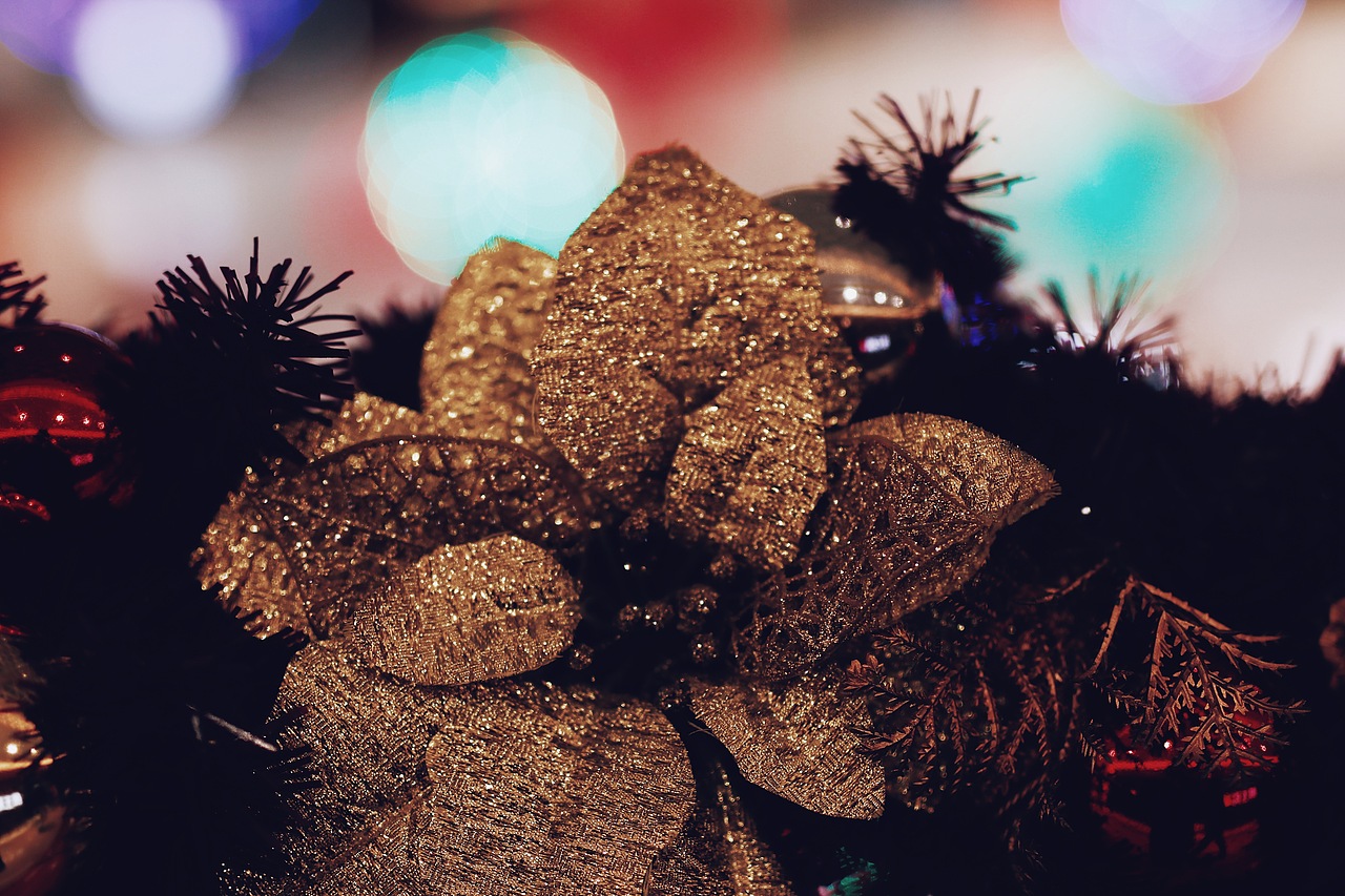 猫（图ZMTA0NjE4MTI4） - 宠物摄影 - 站酷设计师迷路的麋鹿Lu原创素材 - 站酷ZCOOL