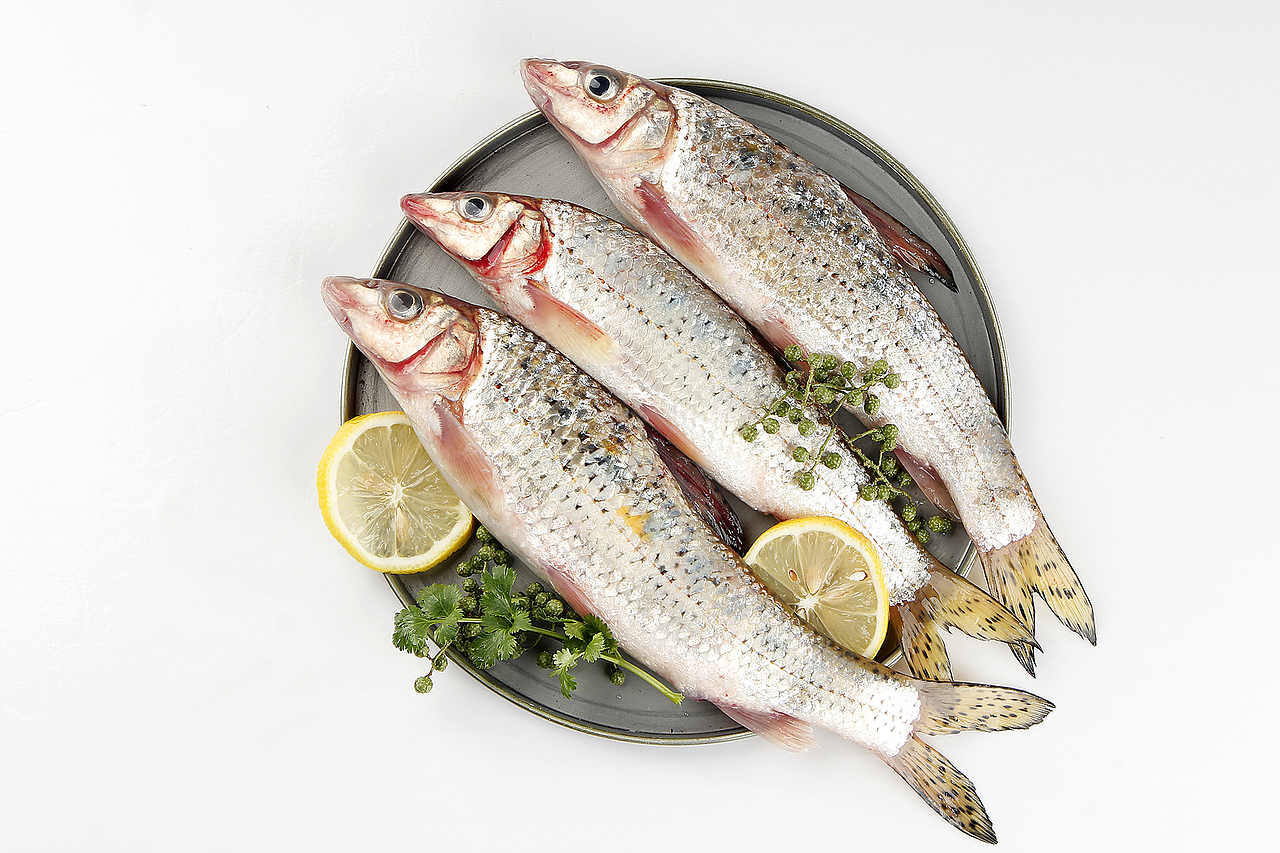 野生花骨鱼拍摄丨飞鸟电商