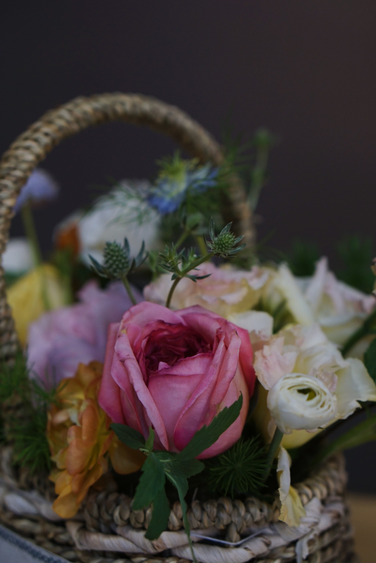 #静物练习 鲜花拍摄