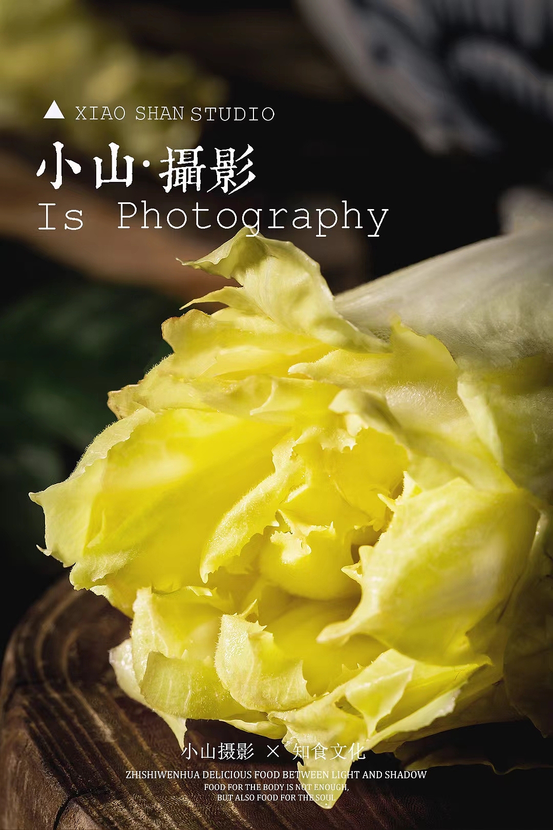 拍摄笔记之娃娃菜（图ZMjY1MjIwNTI4） - 美食摄影 - 站酷设计师知食文化原创素材 - 站酷ZCOOL