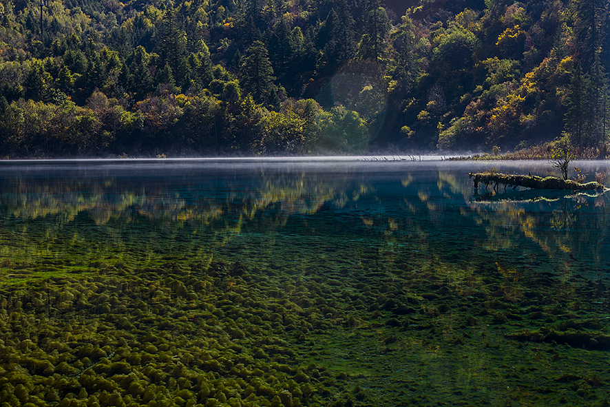 2014·10九寨沟（图ZMjA5NDc4ODg=） - 风光摄影 - 站酷设计师RyanShao原创素材 - 站酷ZCOOL