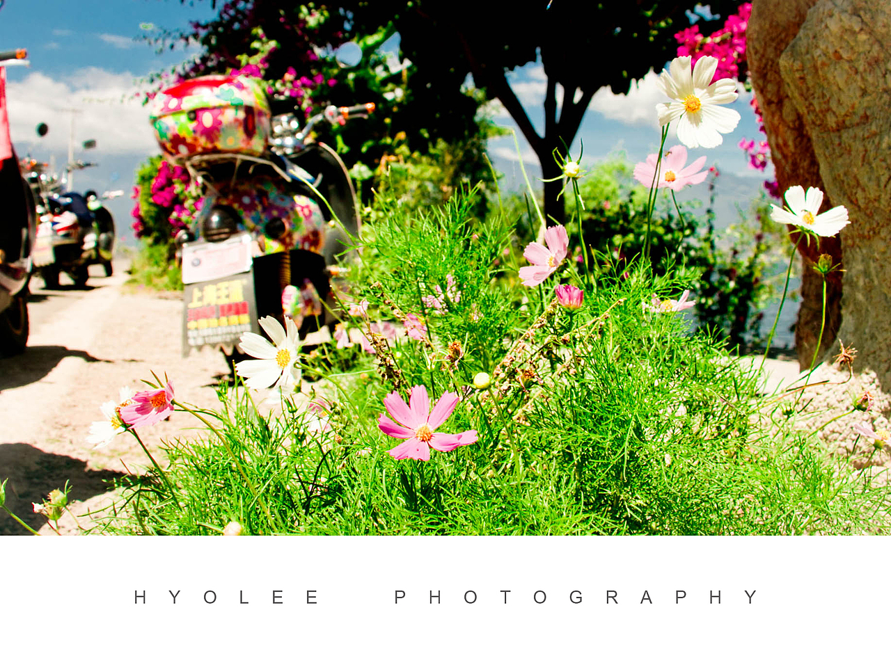 送你一个大理！（图ZMjk1MTcxMjg=） - 风光摄影 - 站酷设计师巩孝利Hyolee原创素材 - 站酷ZCOOL