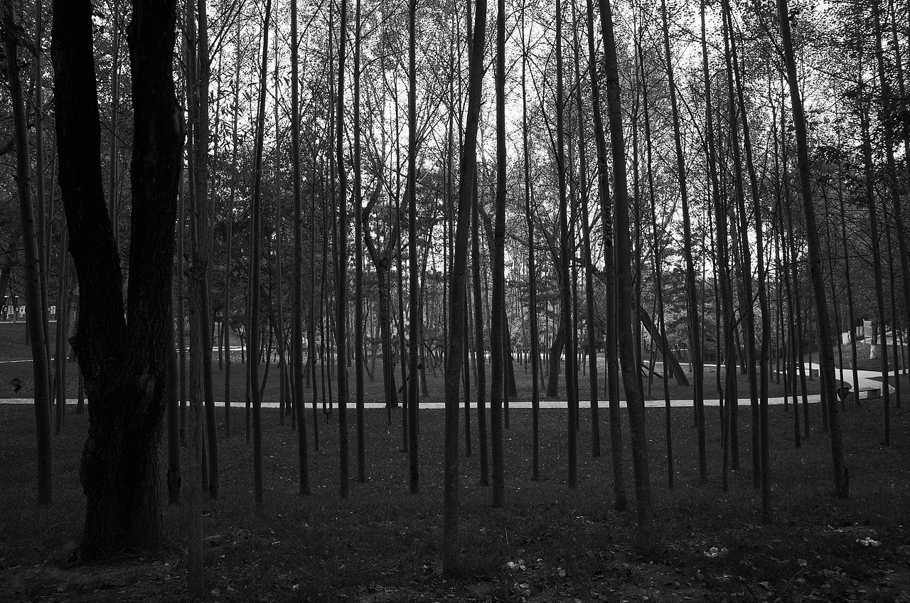 青海、甘肃七日行