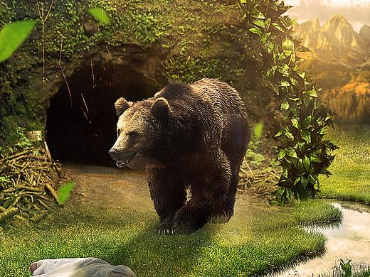 饥饿的熊场景合成（个人主页-ZMjU5ODAzNDg=） - 电商 - 站酷设计师有点心动原创素材 - 站酷ZCOOL