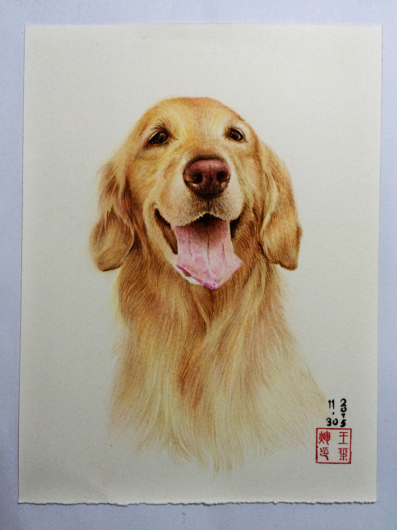 金毛犬（图ZMzgxODY4MDg=） - 绘画 - 站酷设计师yehui89原创素材 - 站酷ZCOOL
