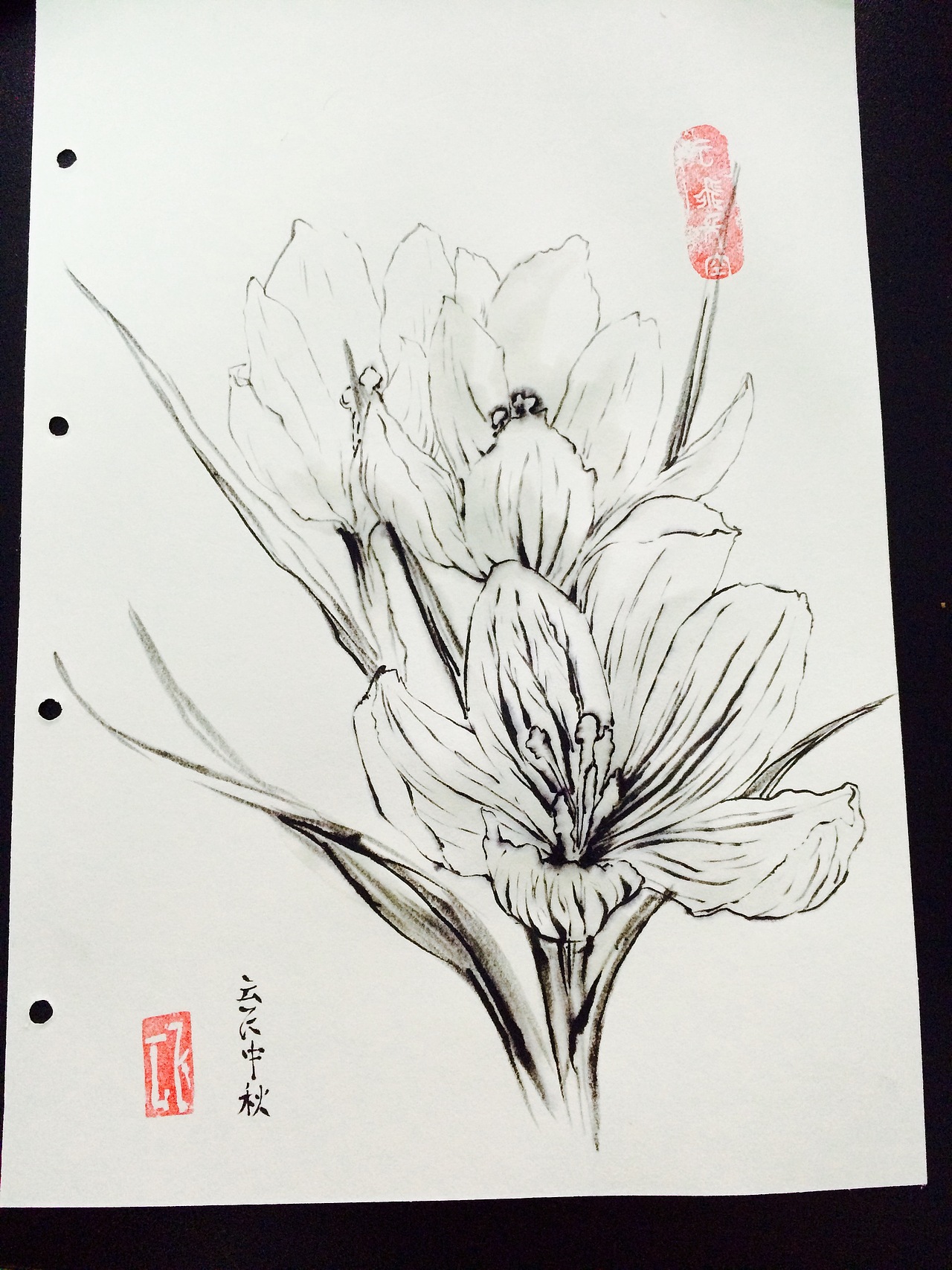 花卉植物动物线条水墨画