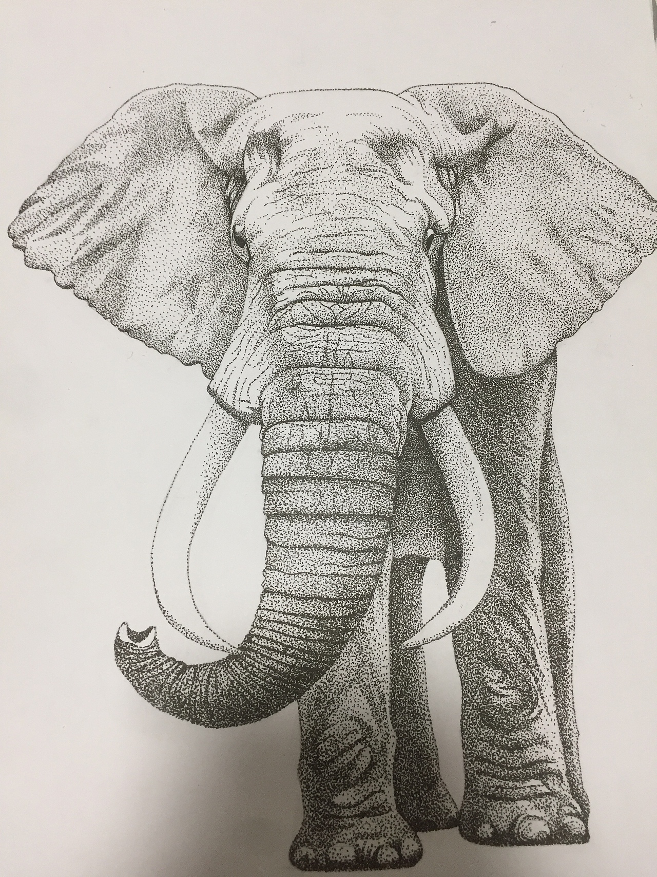 点画大象|纯艺术|绘画|喜欢画画的小学生_原创作品-站酷zcool