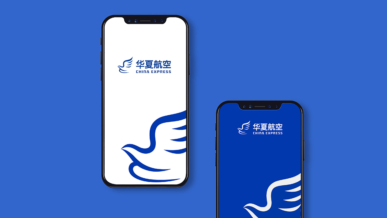 华夏航空辅助图形设计方案