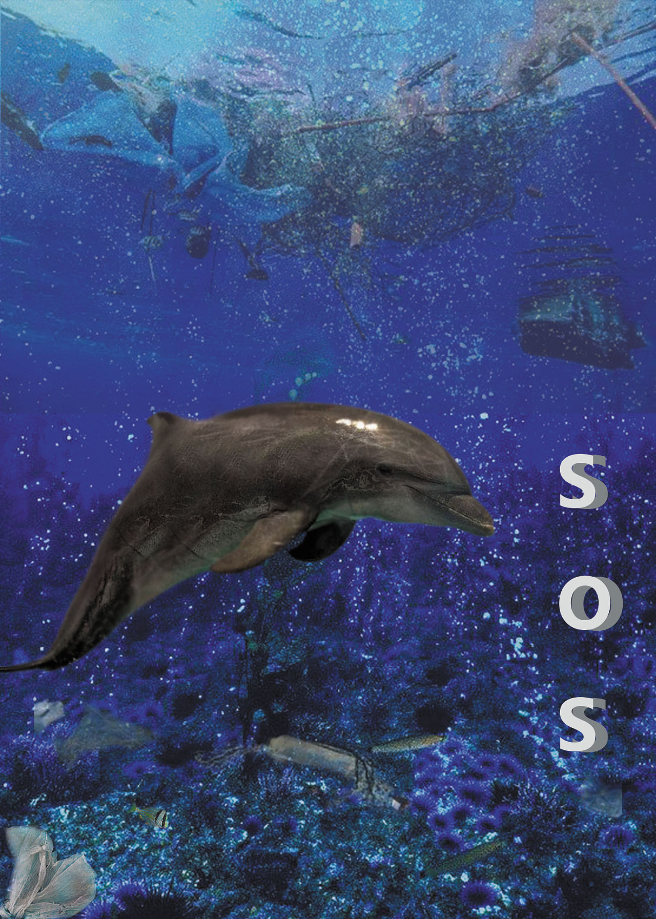 海洋生物面临垃圾污染