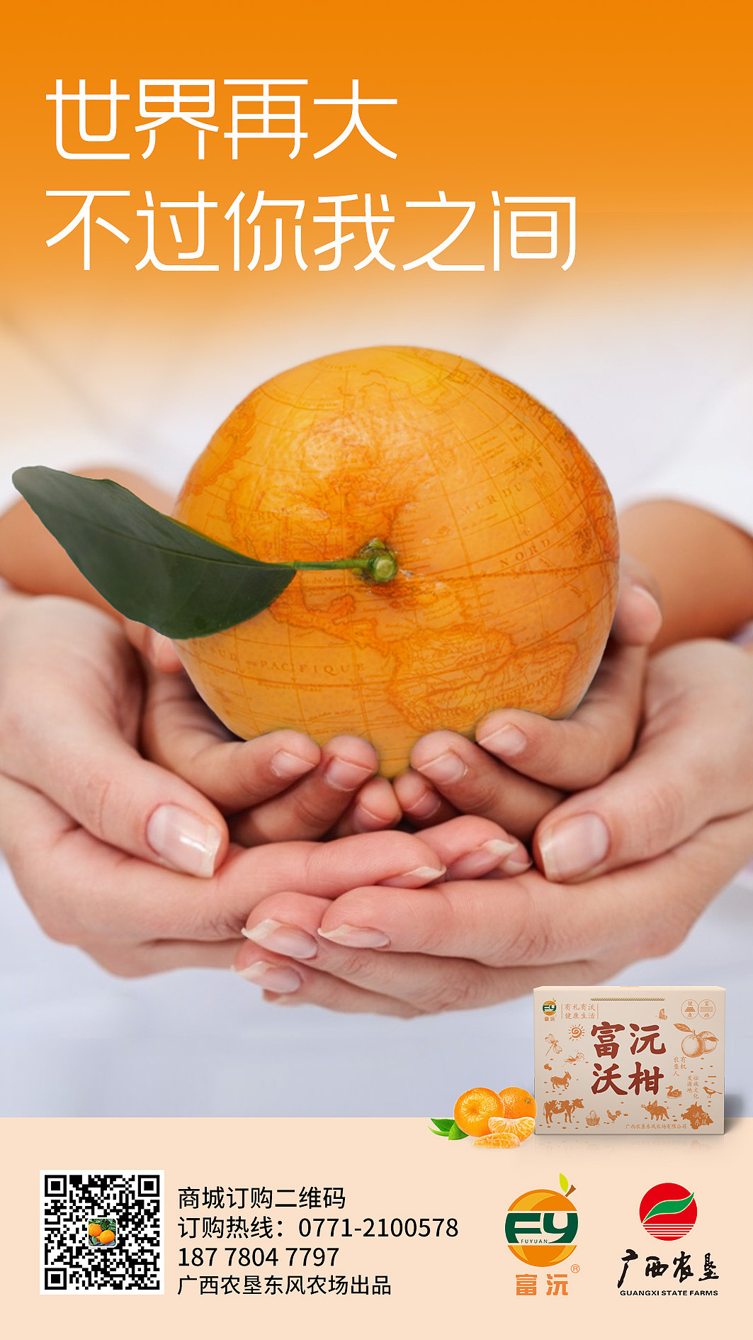 广西农垦富沅沃柑品牌包装推广