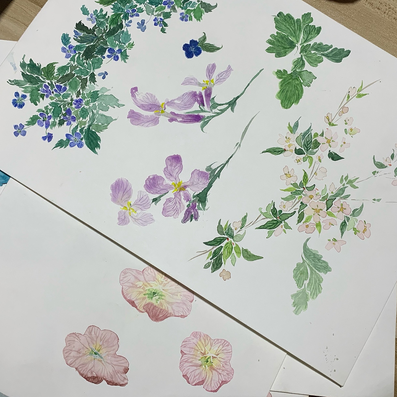 国风水彩人物花卉插画杂烩