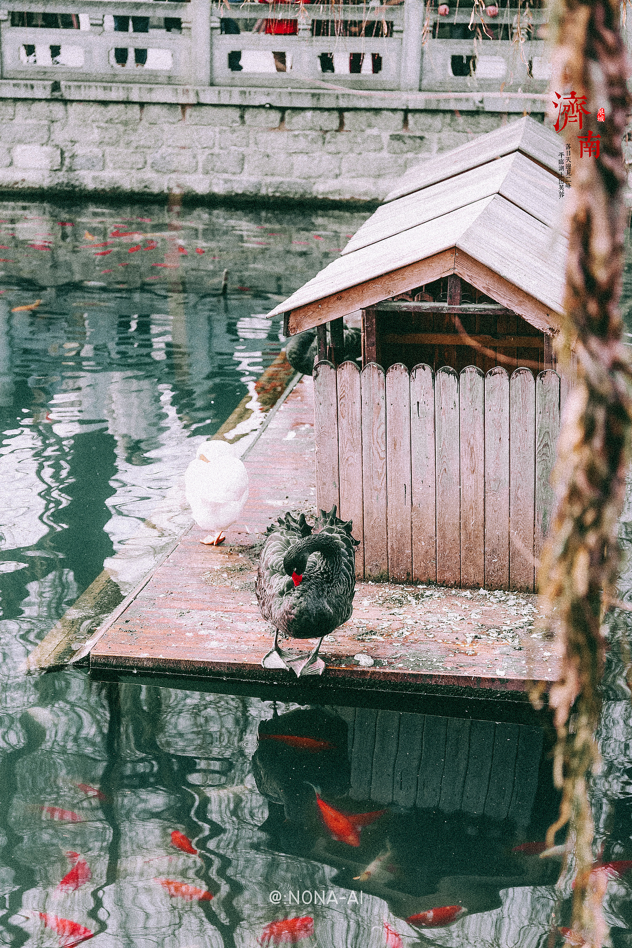 济南（图ZMTk0NTYzNzg4） - 人文/纪实摄影 - 站酷设计师瑷姑娘原创素材 - 站酷ZCOOL