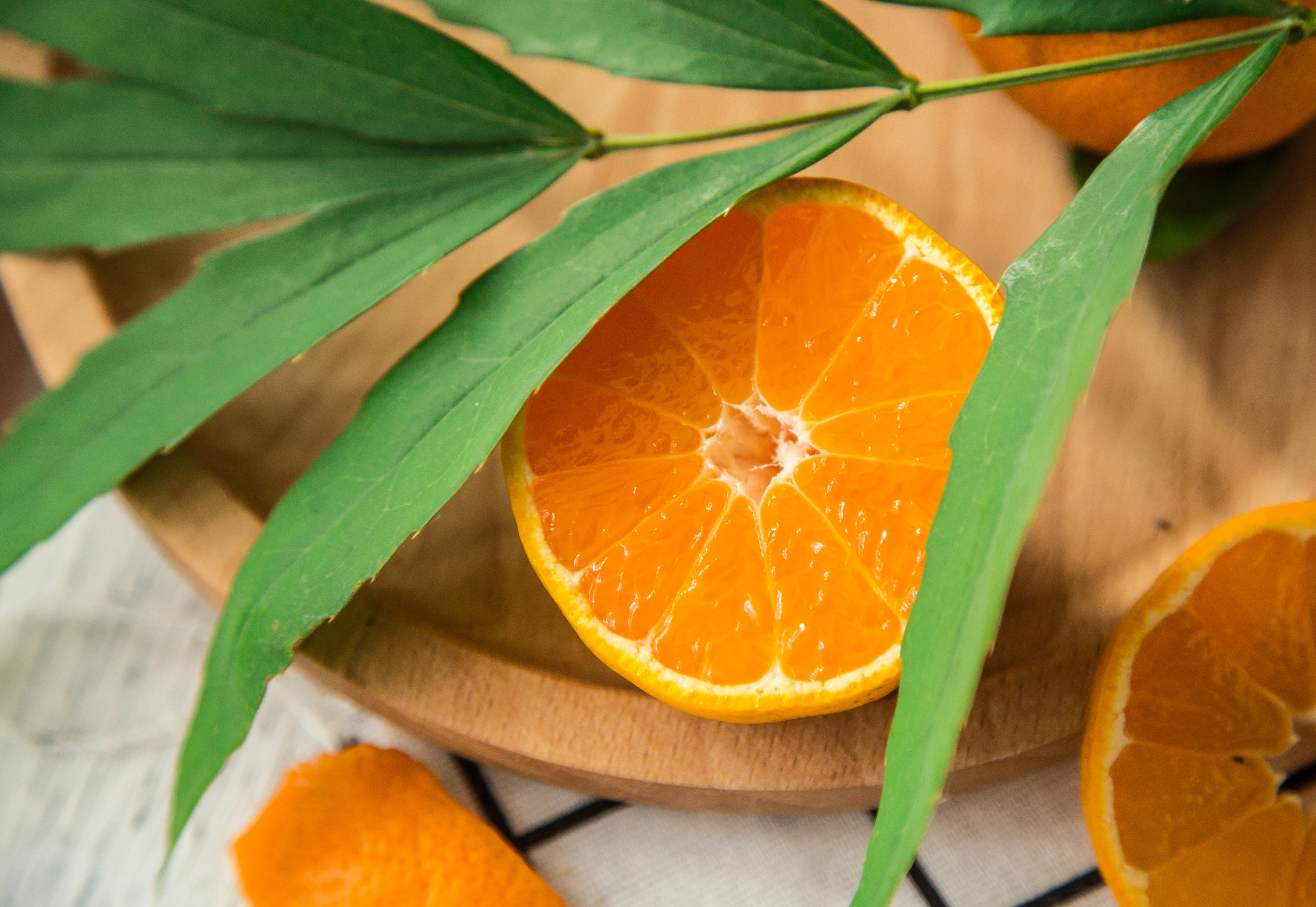 橘子|摄影|静物|张老师会拍照 - 原创作品 - 站酷 (zcool)