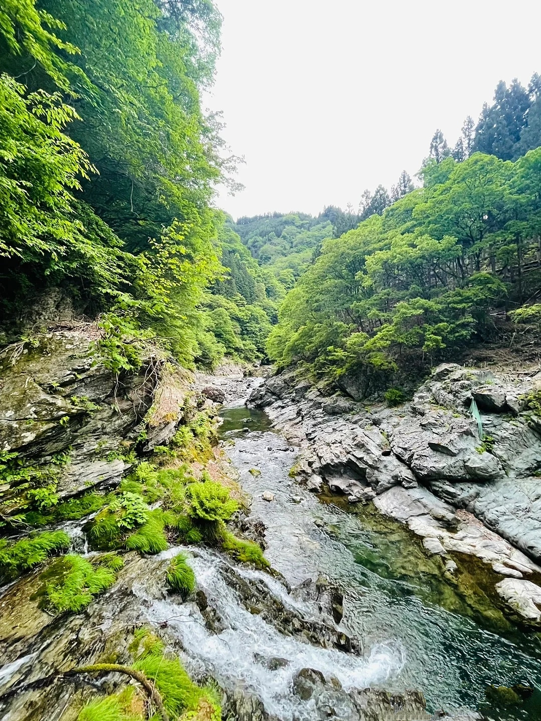 感受大自然的魅力