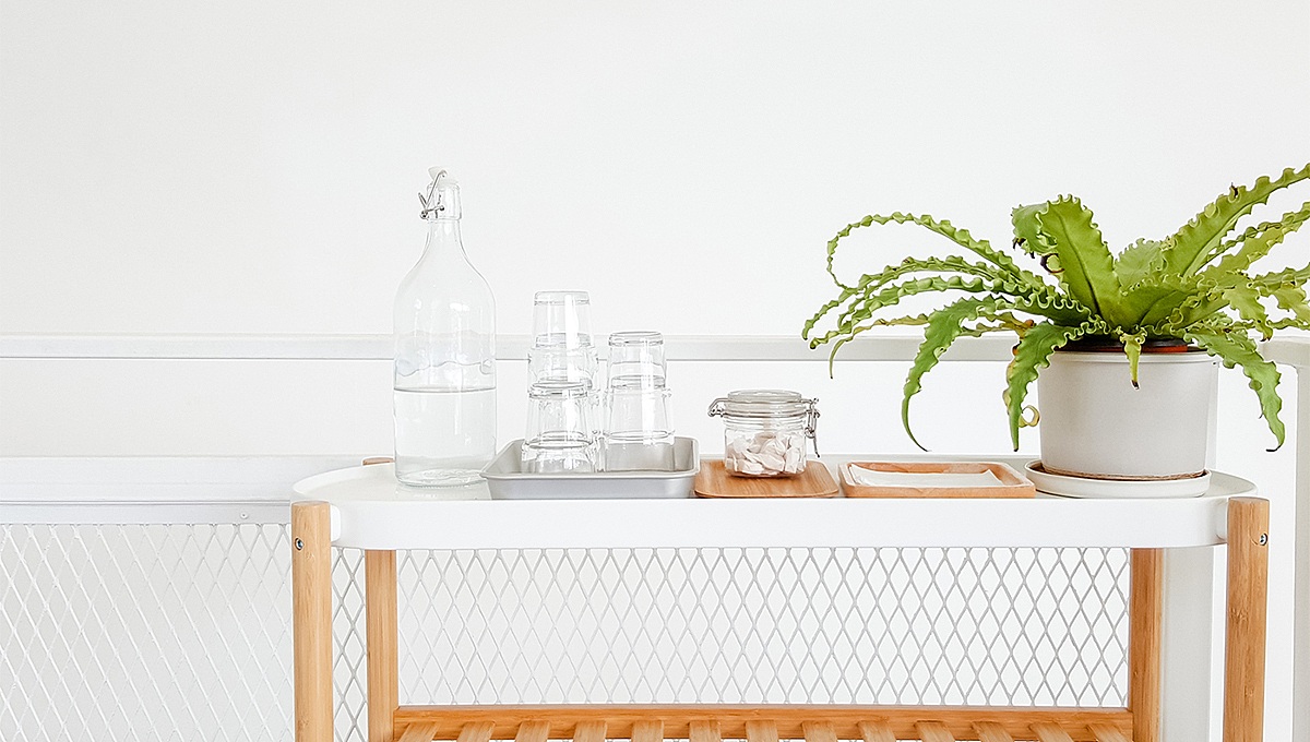 WHITE SWAN — 品牌全案设计(贰贰)