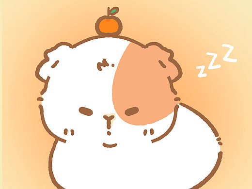 快乐豚鼠(●'◡'●)