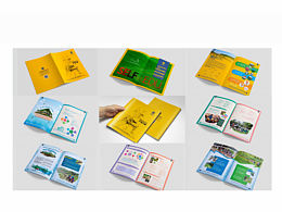 作品案例集锦分享（VI、画册、海报、DM、展厅）等