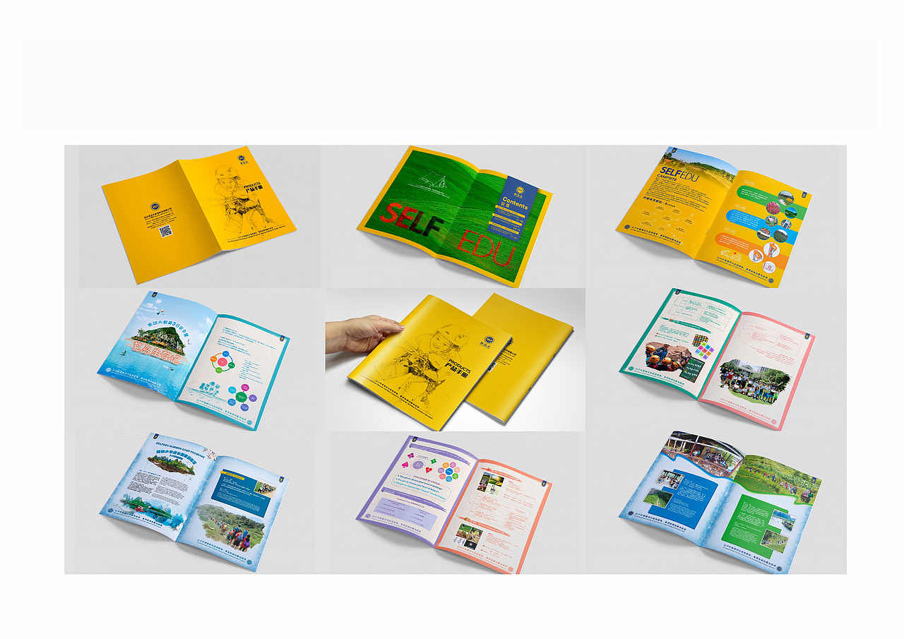 作品案例集锦分享(VI、画册、海报、DM、展厅)等