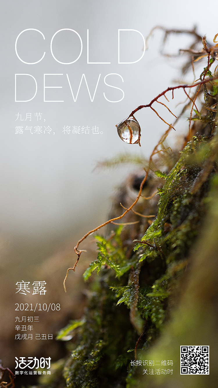 活动时 24节气海报