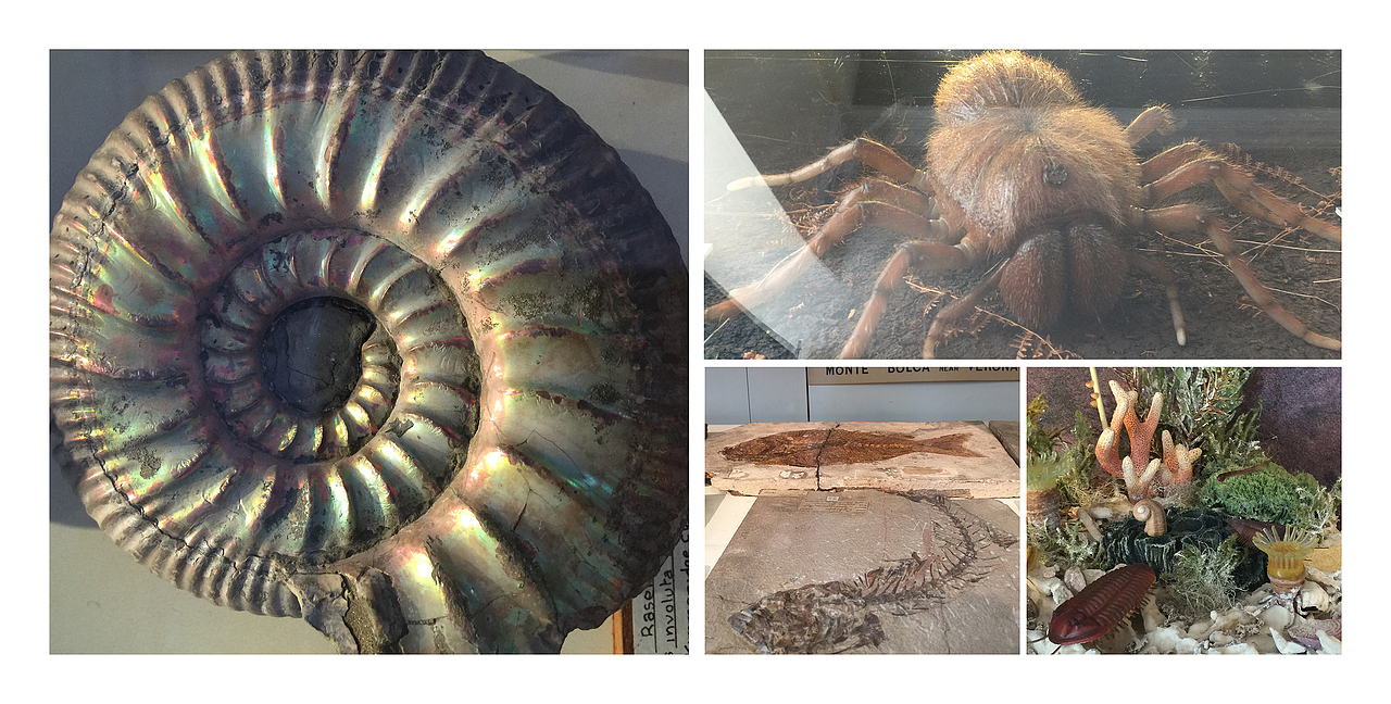 剑桥夏令营活动纪念相册