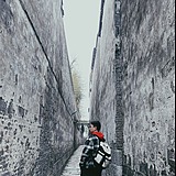 不许慌的头像