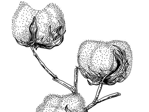 自由創(chuàng)作2（個人主頁-ZNTQwNzY4Mjg=） - 商業(yè)插畫 - 站酷設(shè)計師麻花小辮原創(chuàng)素材 - 站酷ZCOOL