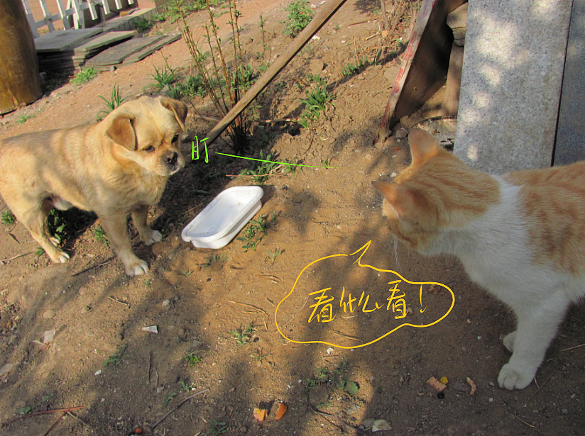 我结交了一群新朋友（图ZMjc2MjE1Njg=） - 文案/策划 - 站酷设计师画师x如也原创素材 - 站酷ZCOOL