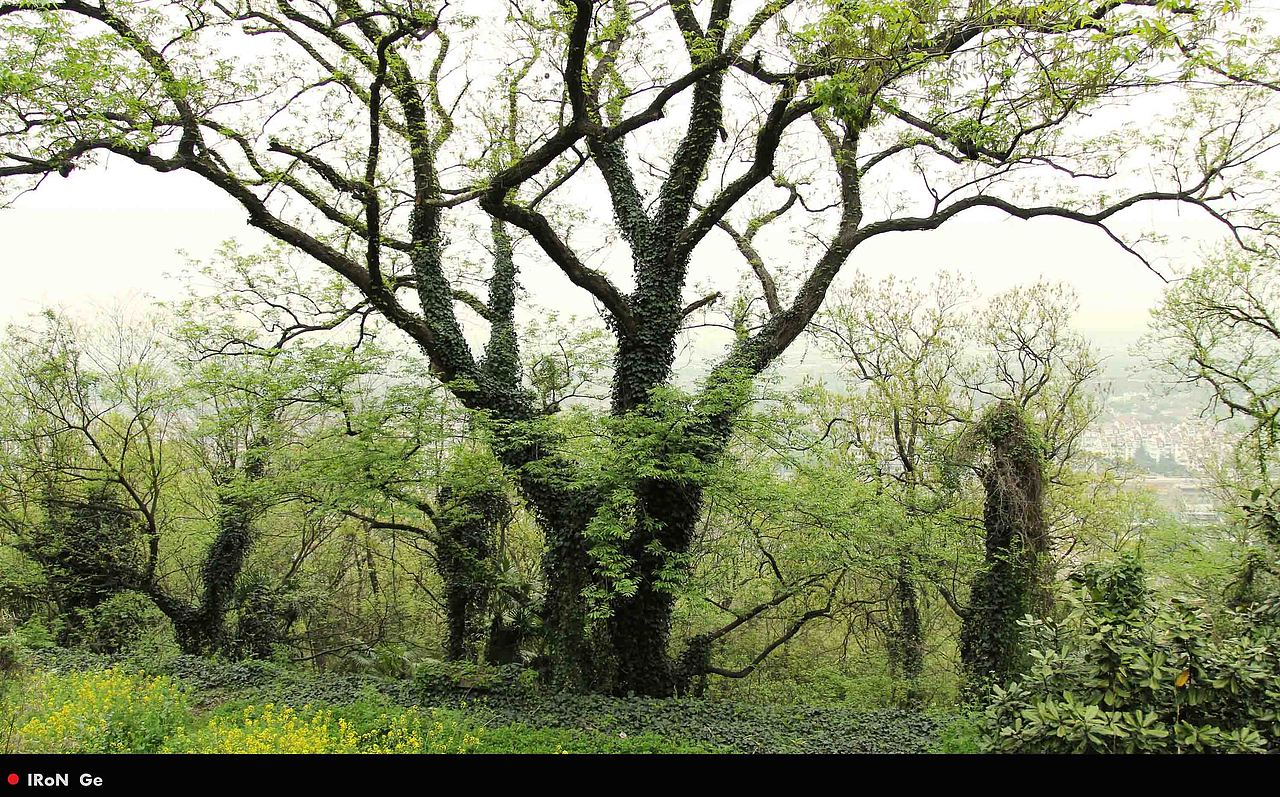 我喜欢到处散步~（图ZNTQ5NTExNg==） - 风光摄影 - 站酷设计师iron1985原创素材 - 站酷ZCOOL