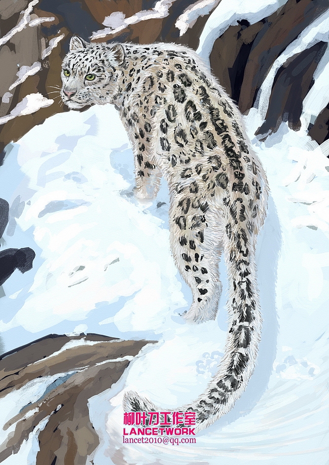 油画风格动物插画