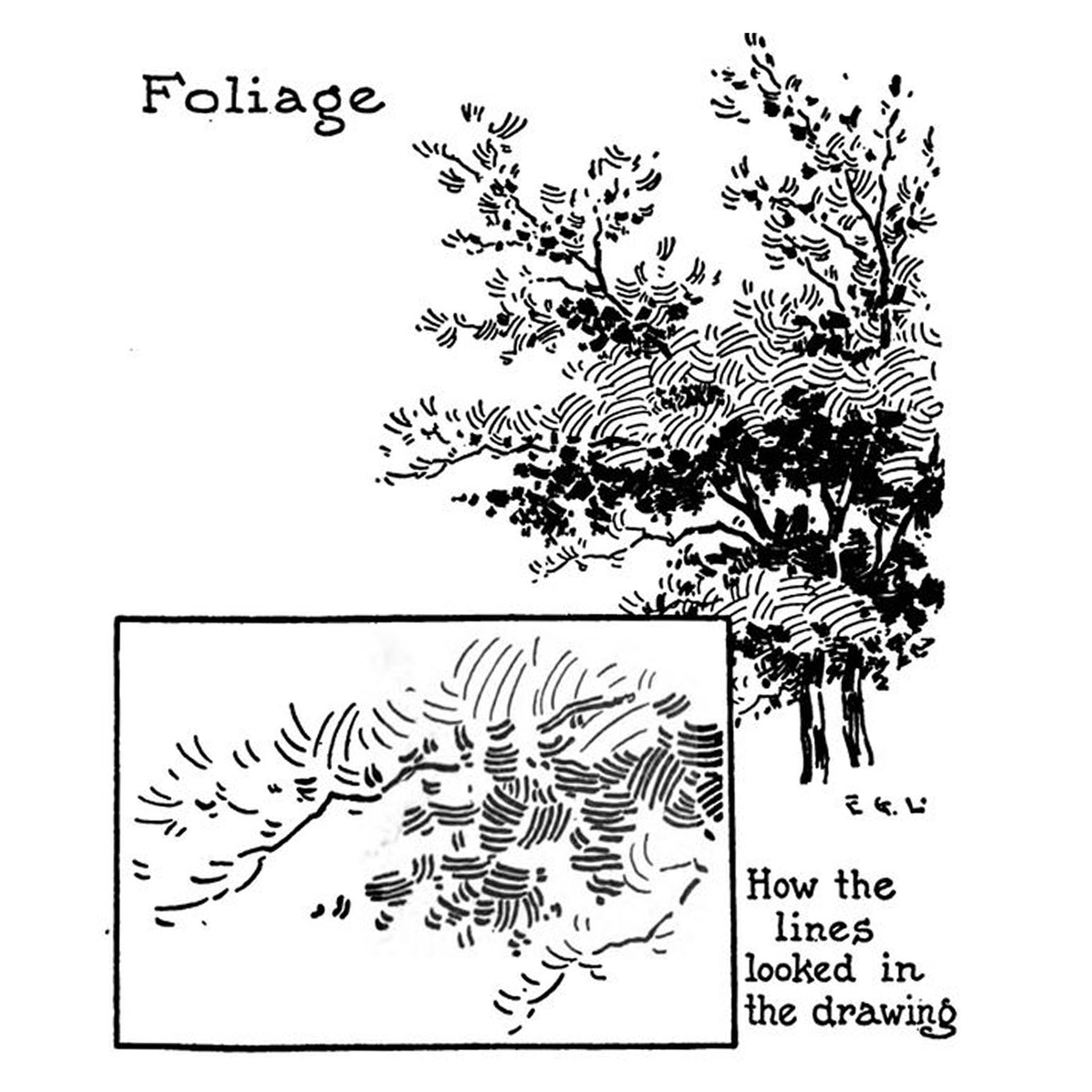 谭伯虎说画教您钢笔画如何画树木