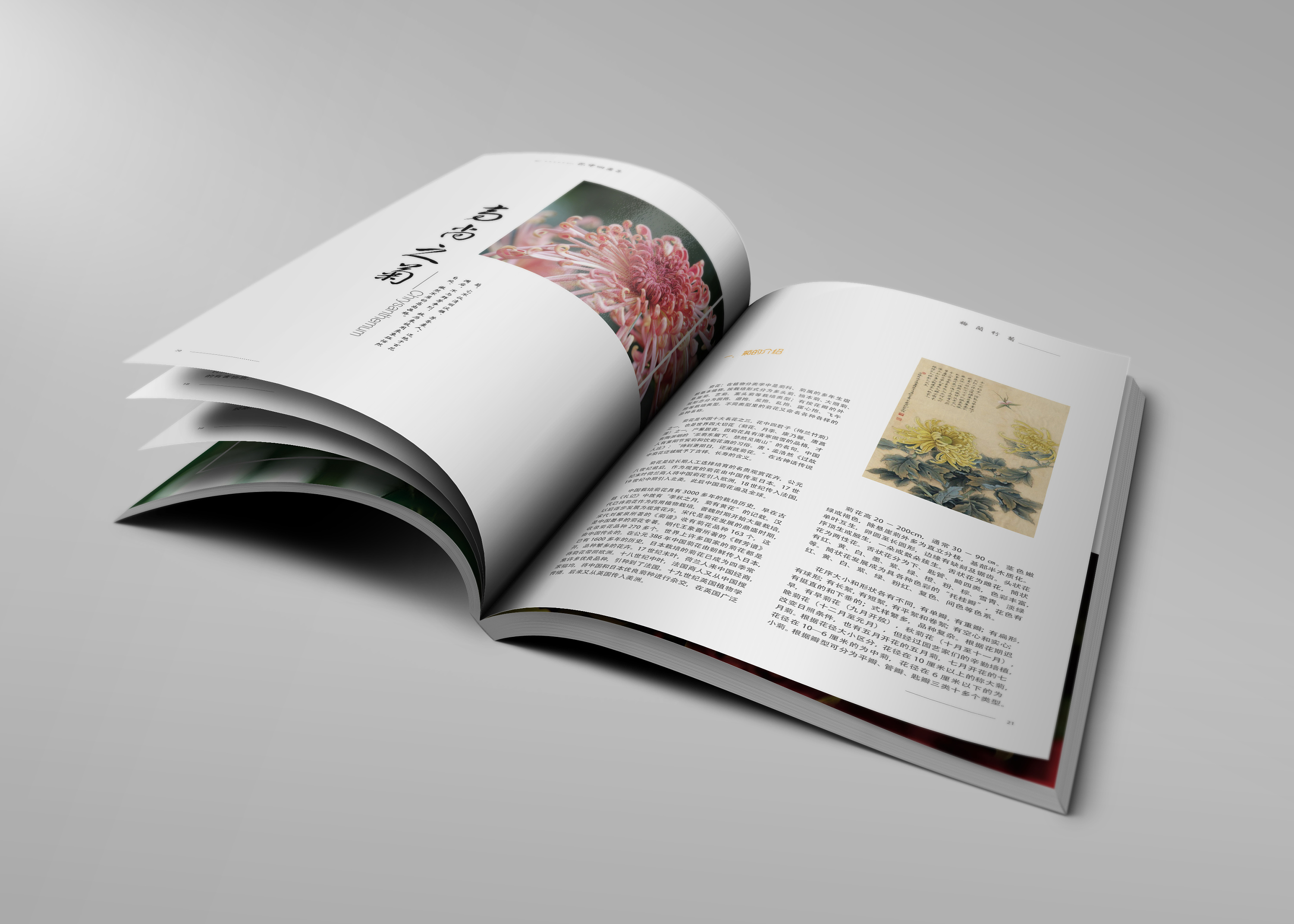 《皮囊》-书籍封面设计|平面|书籍/画册|JAMEN_Z - 原创作品 - 站酷 (ZCOOL)