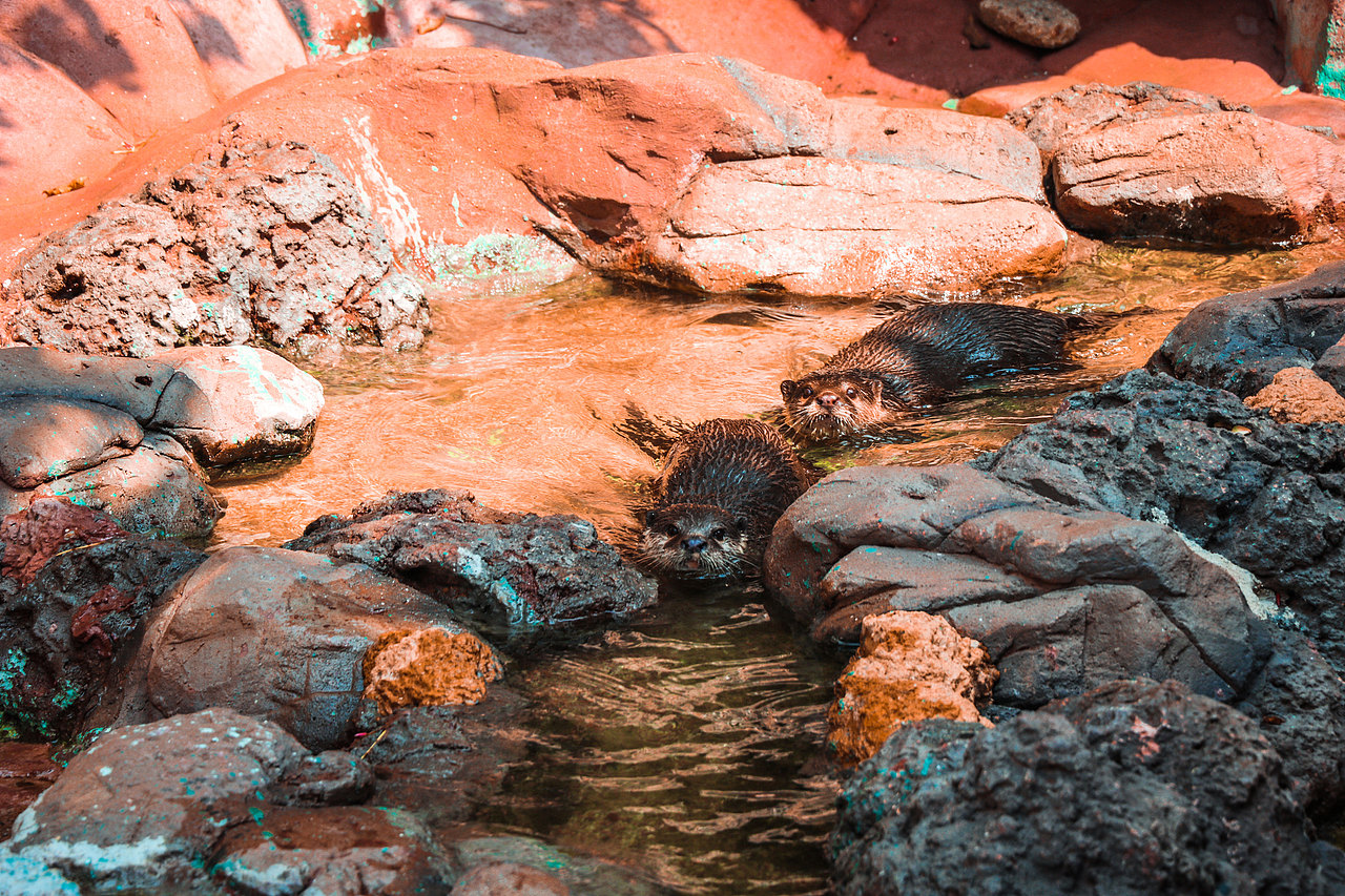 顺德长鹿休闲度假农庄（图ZMjczODQ4NzQ0） - 风光摄影 - 站酷设计师光速工作室原创素材 - 站酷ZCOOL