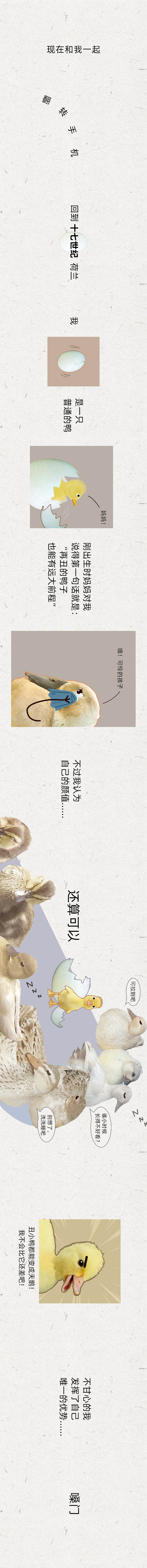 《科尔鸭发家史》