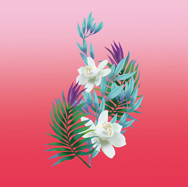 水彩插画 包装（图ZMzE5OTI5ODg=） - 商业插画 - 站酷设计师V巴拉迪V小包子原创素材 - 站酷ZCOOL