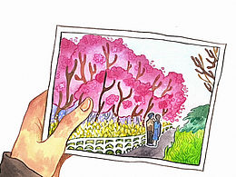 【水彩插画】樱🌸