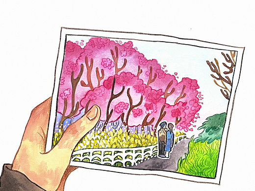 【水彩插画】樱🌸