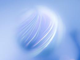 Ghosts by daylight / 白日夢魘