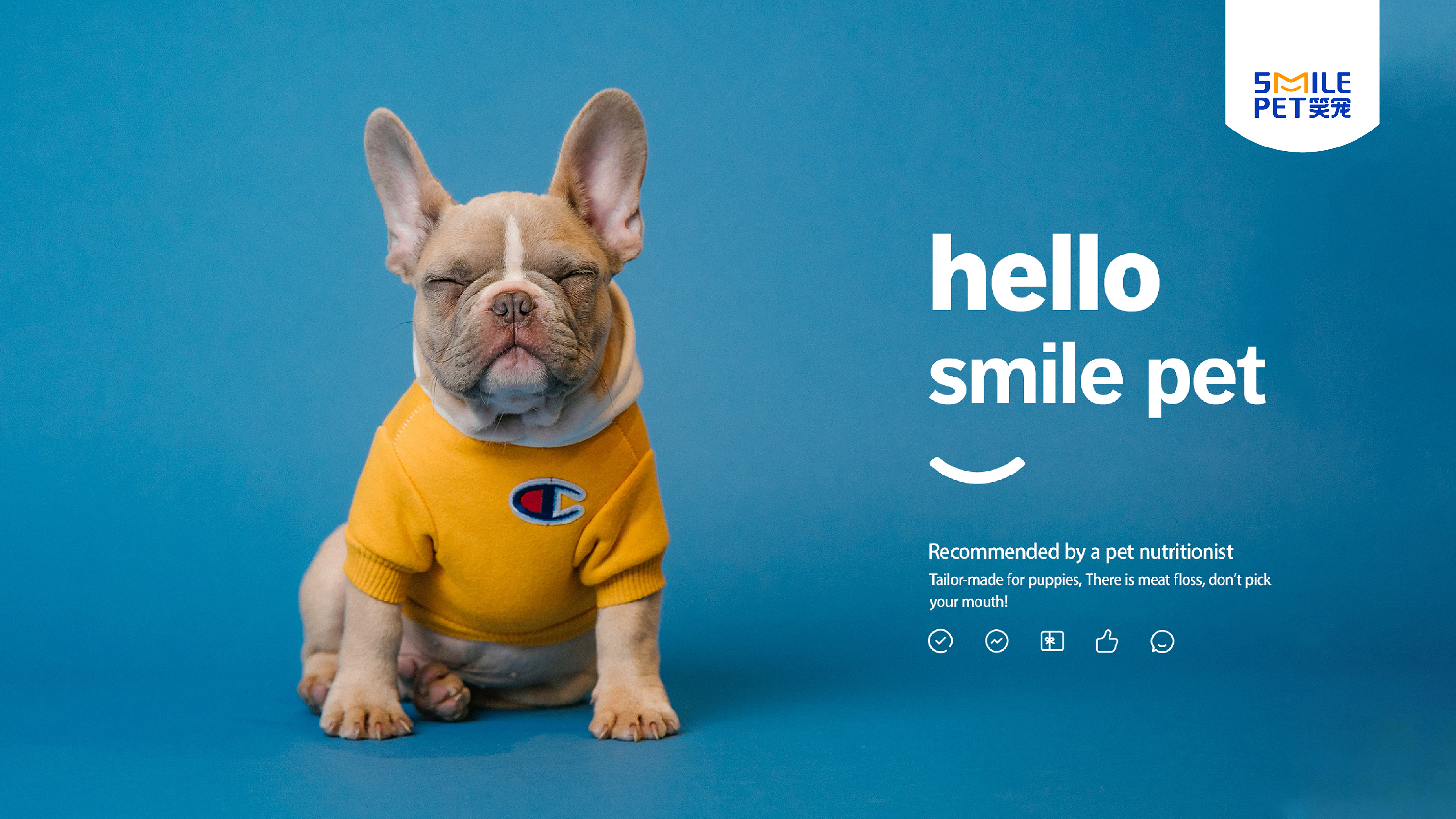 笑宠-品牌logo设计_刘兵克-站酷zcool