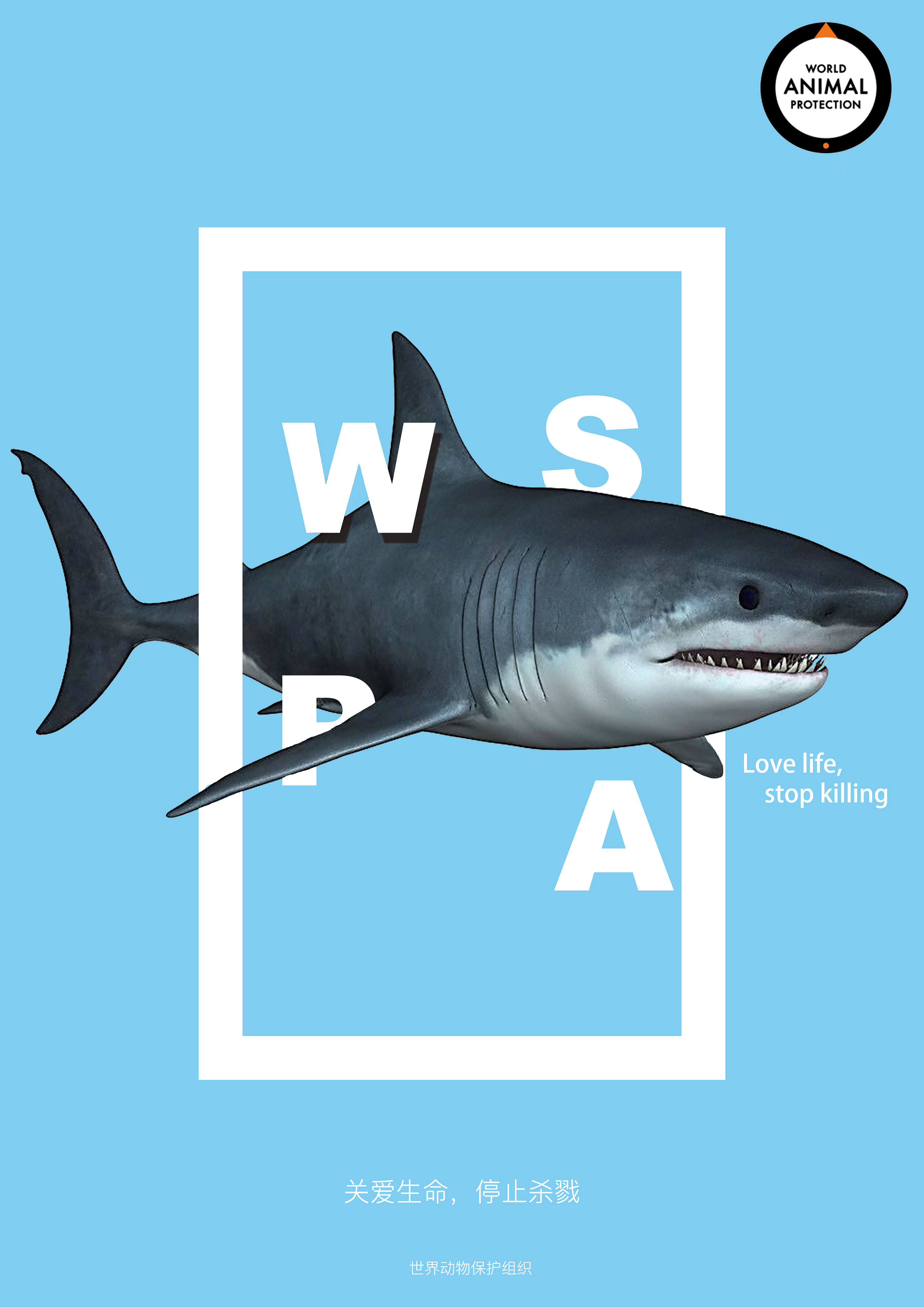 世界保护动物组织海报
