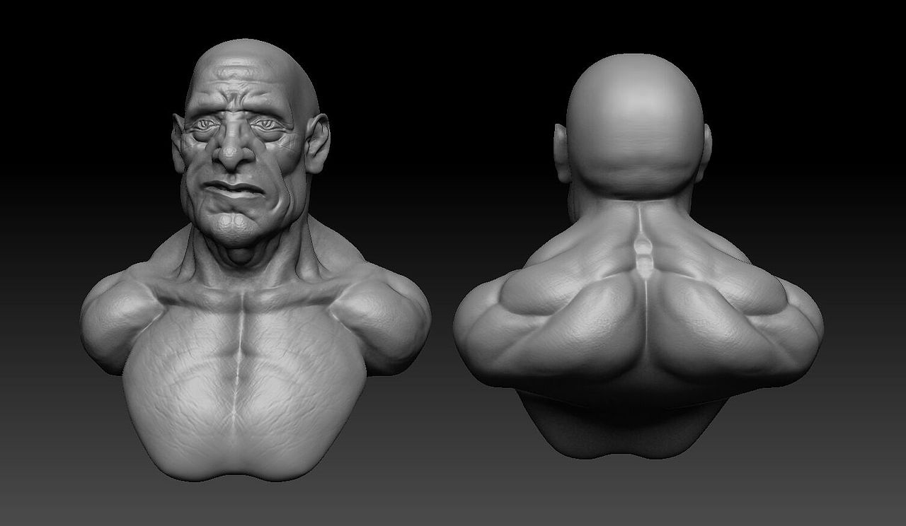 zbrush老人胸像