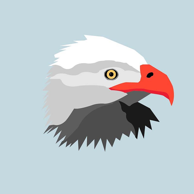 动物插画（图ZODcwMzc2MjQ=） - 艺术插画 - 站酷设计师苏苏君原创素材 - 站酷ZCOOL