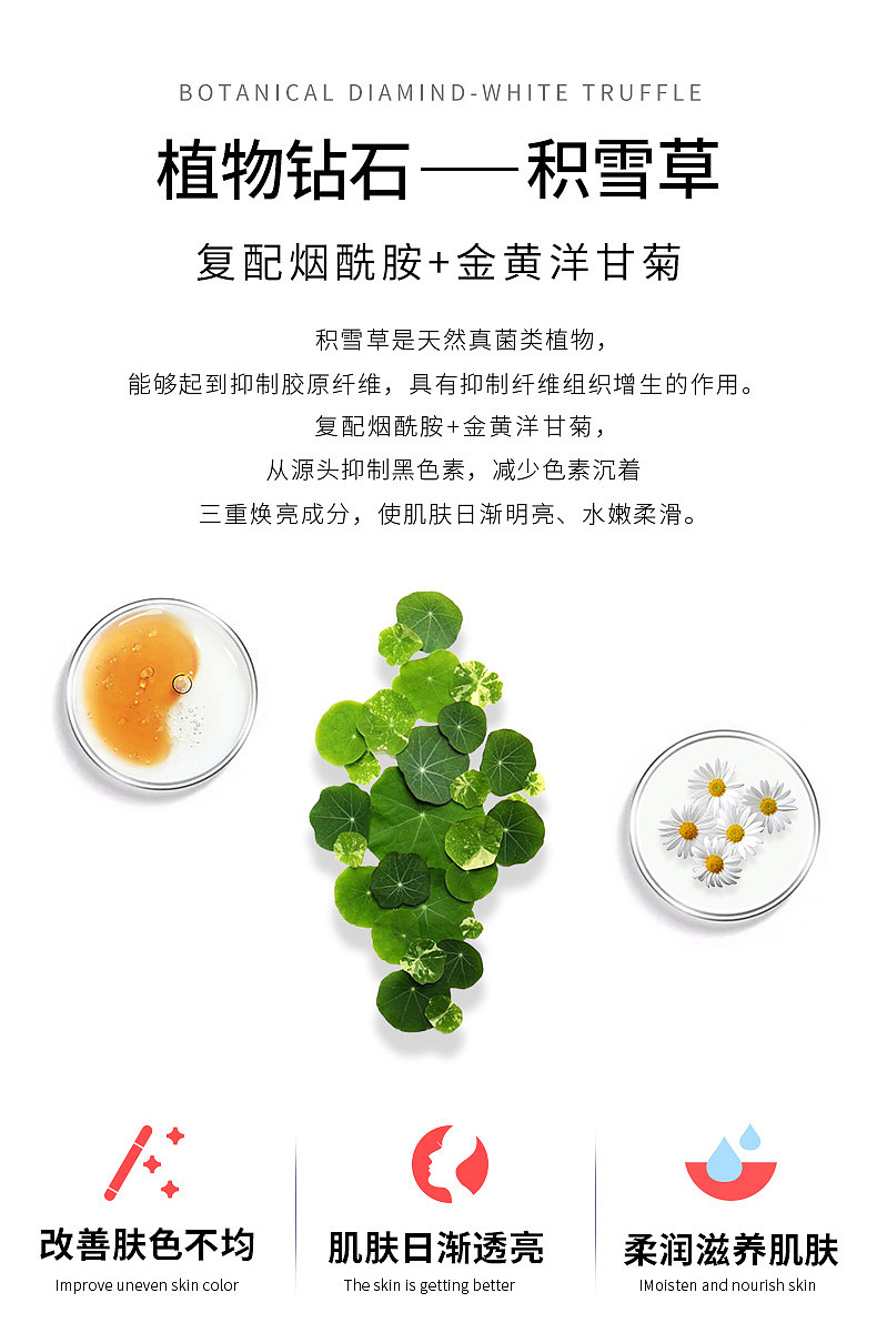 初泉山茶花面膜（图ZMjM1NTA3MDY0） - 宣传物料 - 站酷设计师等等钟子期原创素材 - 站酷ZCOOL