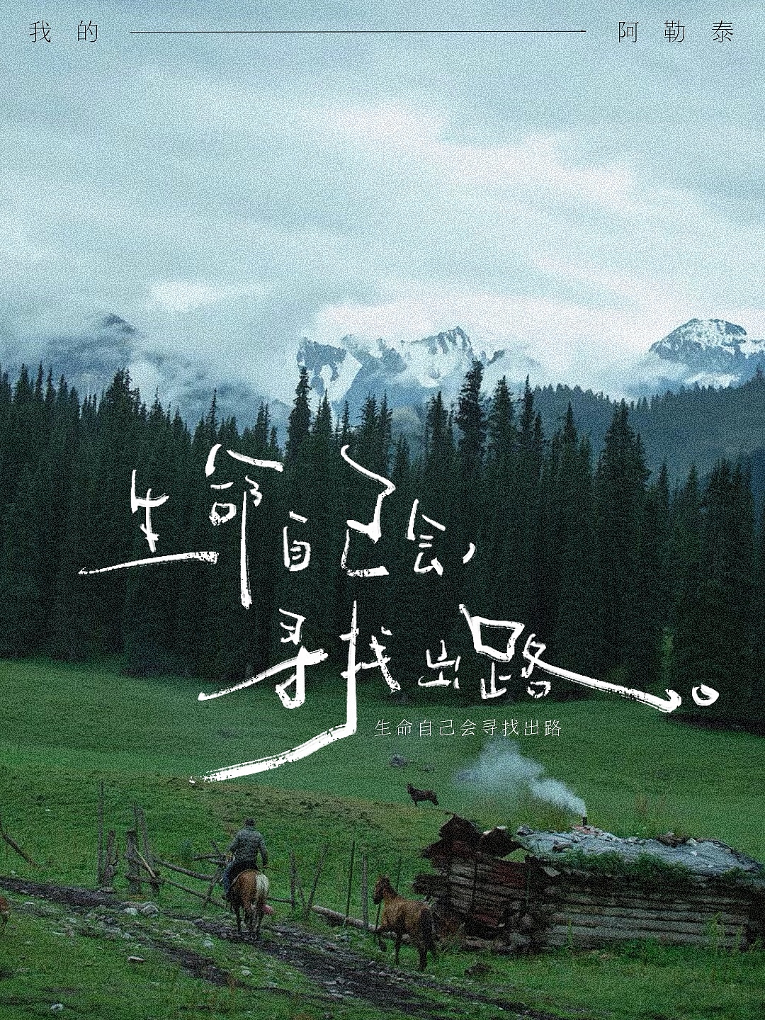 手写字合集-我的阿勒泰