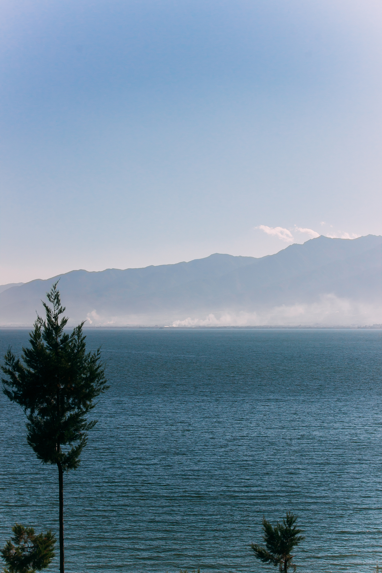 追风赶月莫停留