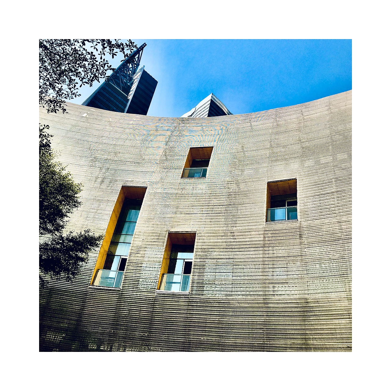 #广州没有冬天🍂(手机摄影)