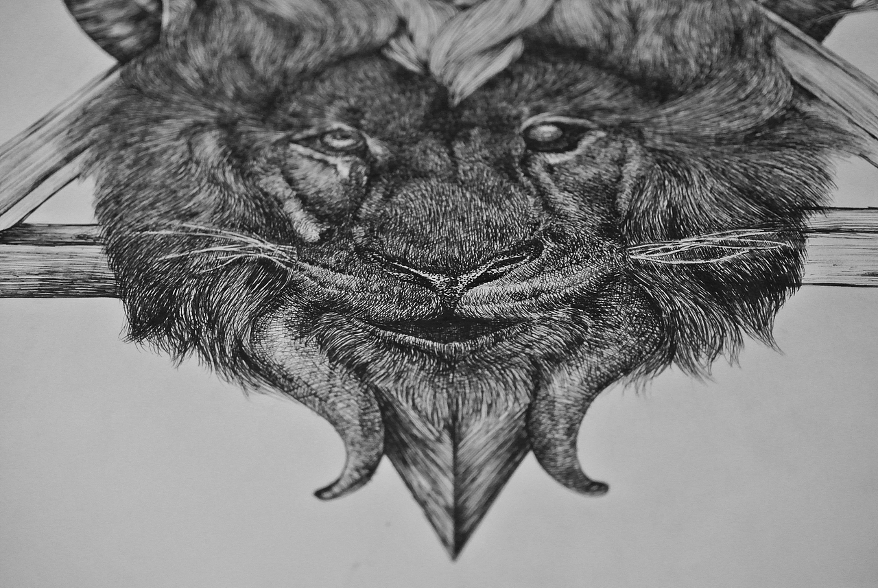 黑白绘- 双子座的臆想（图ZNDA4NzkwOTI=） - 商业插画 - 站酷设计师鸦鸦永远原创素材 - 站酷ZCOOL